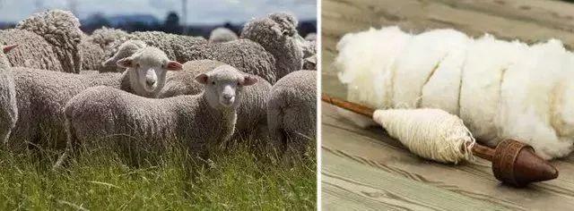 干货!避免西裤撕档的5个方法!