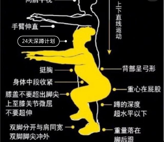 如何深蹲最有效?深蹲的动作你真的掌握了吗