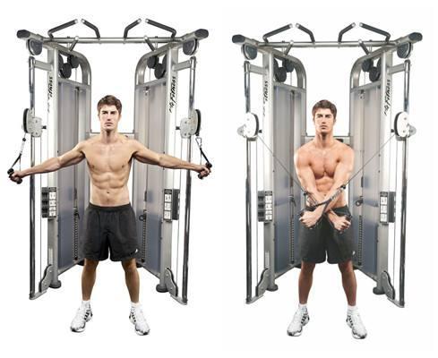 想练出完美手臂的肌肉,如何打破增肌难题?看完你就明白了