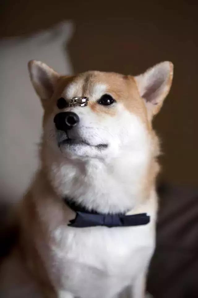 劲爆!李光耀孙子和男友正式合法结婚