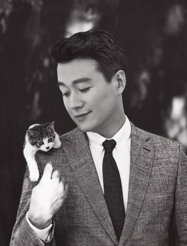 这些男星都是东北的!