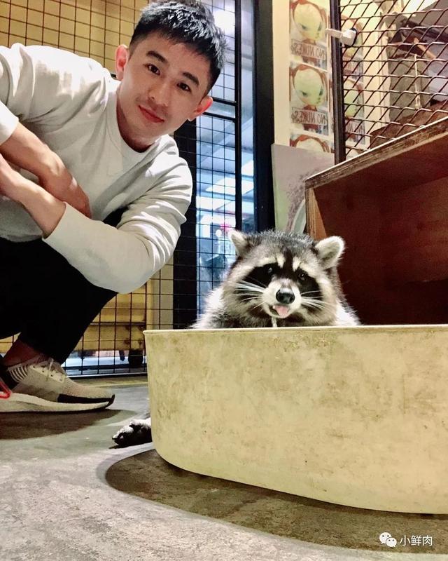 与吴青峰陈意涵合影的羽毛球小哥走红,网友:体会到萧亚轩的快乐