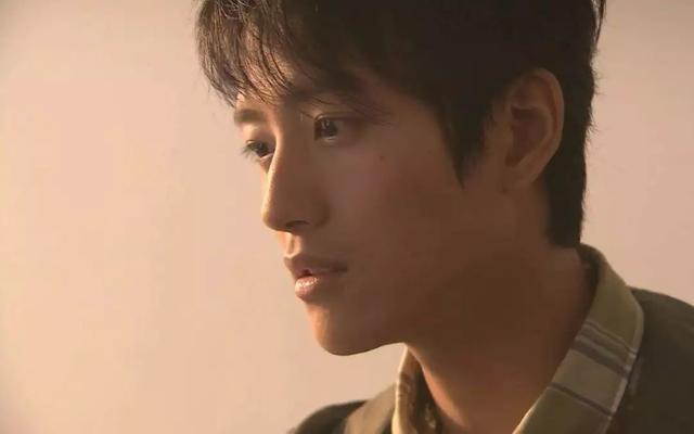 大二被海岩相中出道,张峻宁为什么一直都不火?