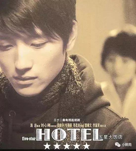 大二被海岩相中出道,张峻宁为什么一直都不火?