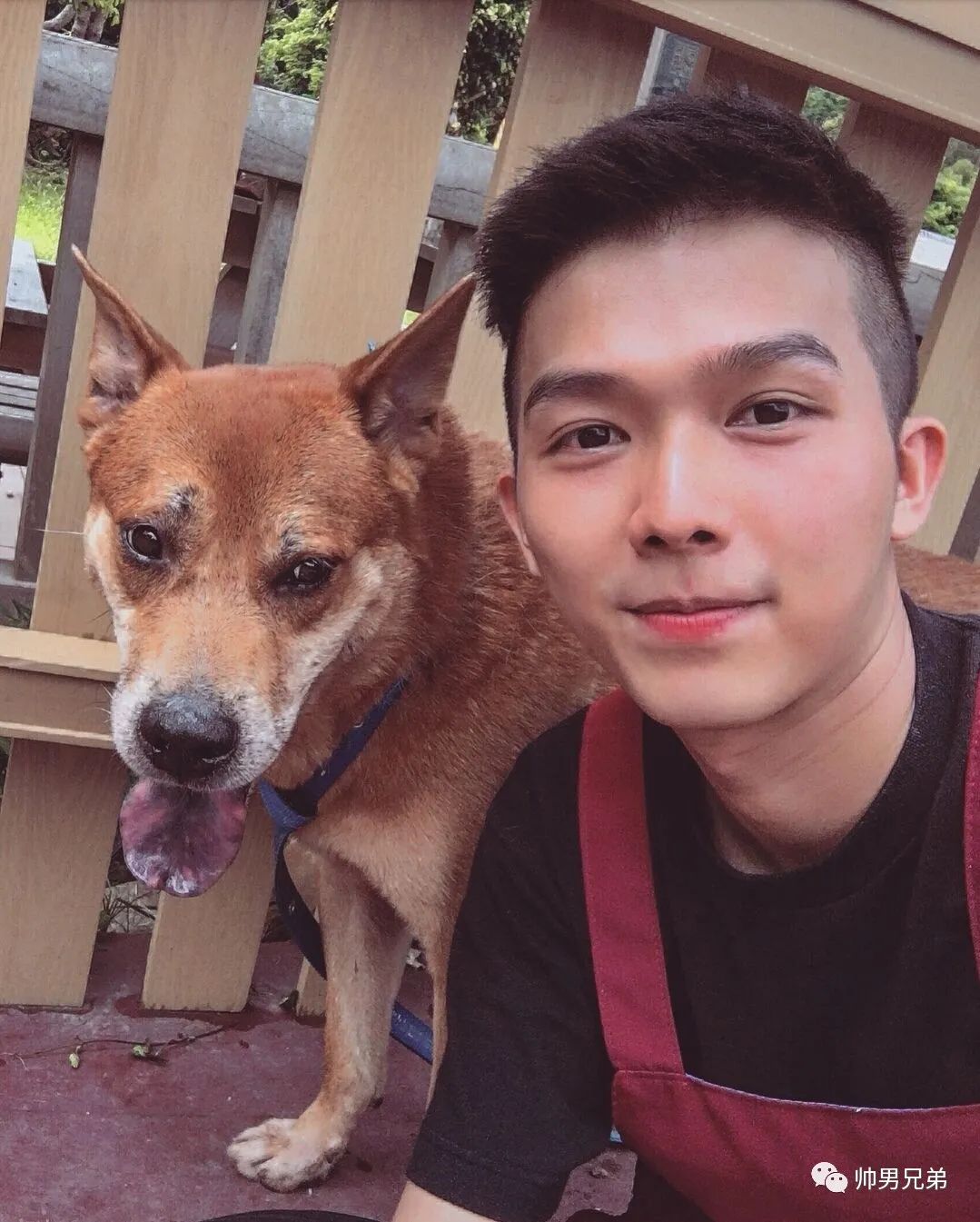 寸头俊朗帅小伙,萌帅型遛狗大男孩